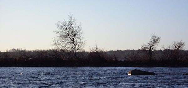 pb080122.jpg