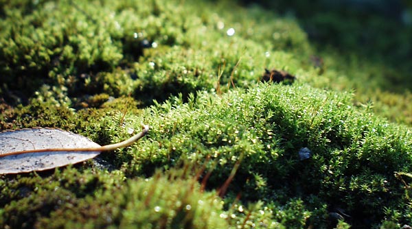 pb080126.jpg