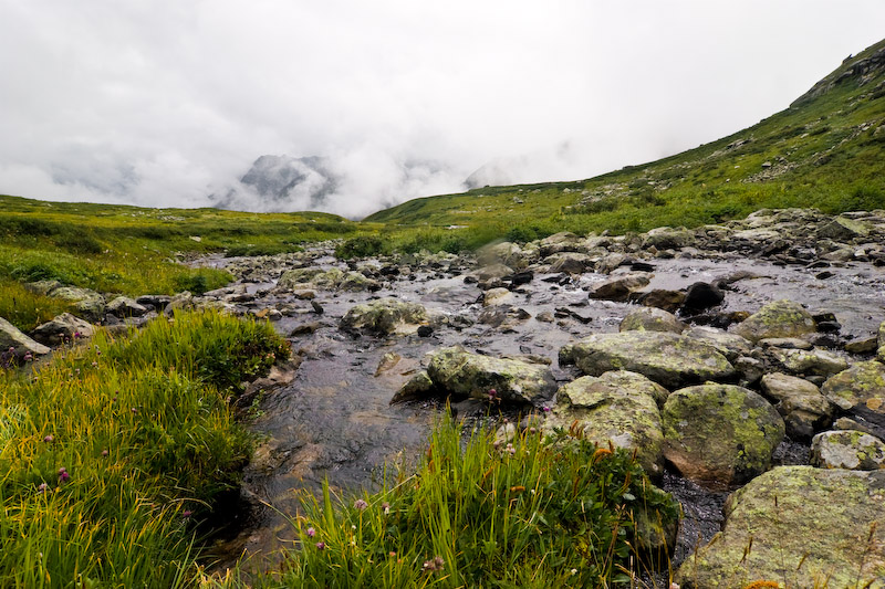 _MG_7125.jpg
