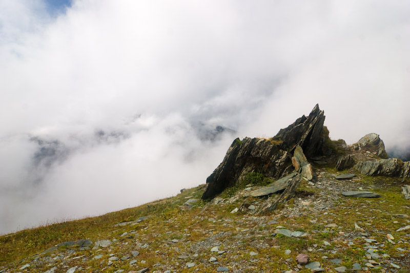 _MG_7279.jpg